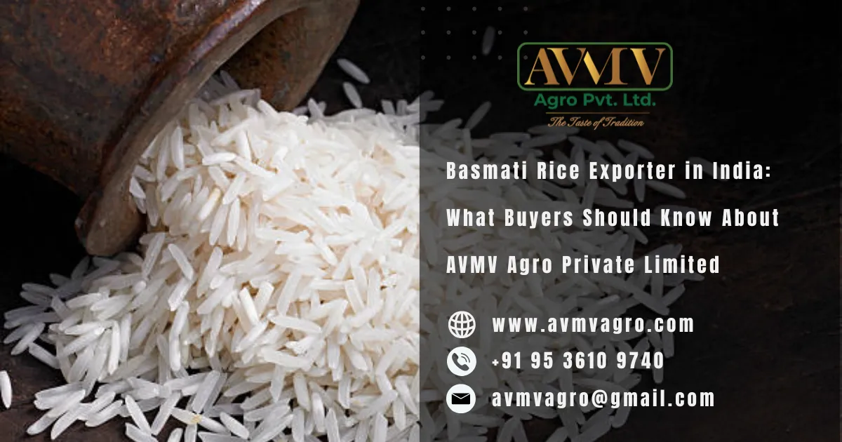 Basmati Rice Exporter in India: What Buyers Should Know About AVMV Agro Private Limited