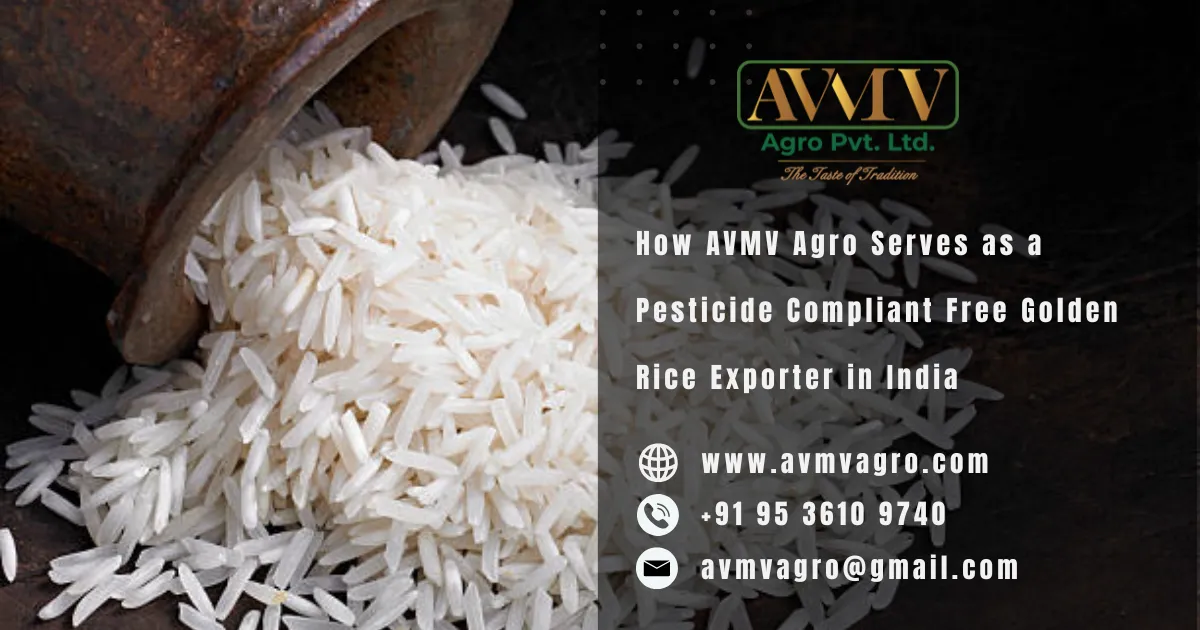 How AVMV Agro Serves as a Pesticide Compliant Free Golden Rice Exporter in India