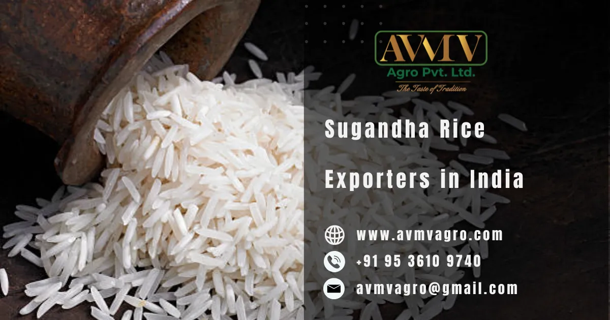 Sugandha Rice Exporters in India