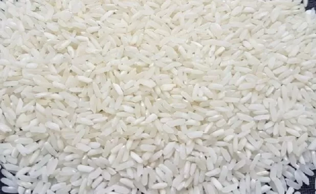 Indian IR-64 Raw Rice